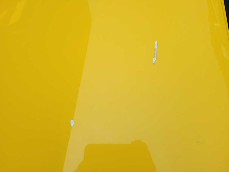 43875515