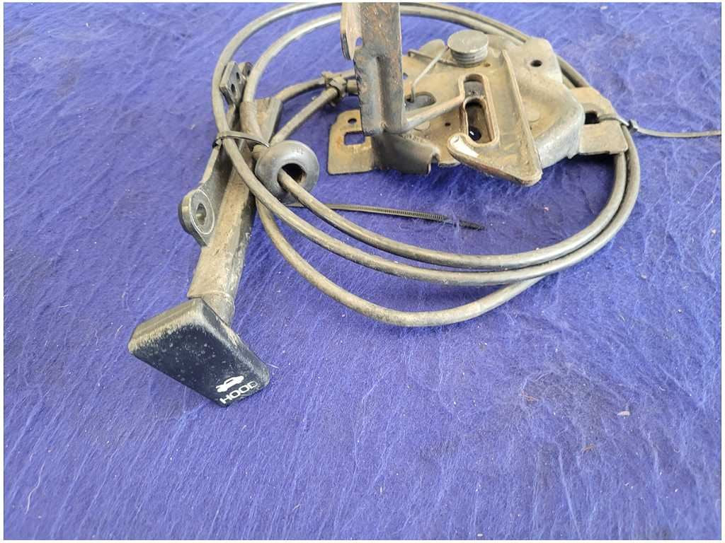 44995970