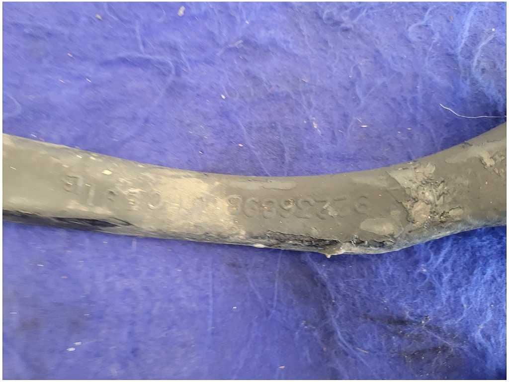 45067424