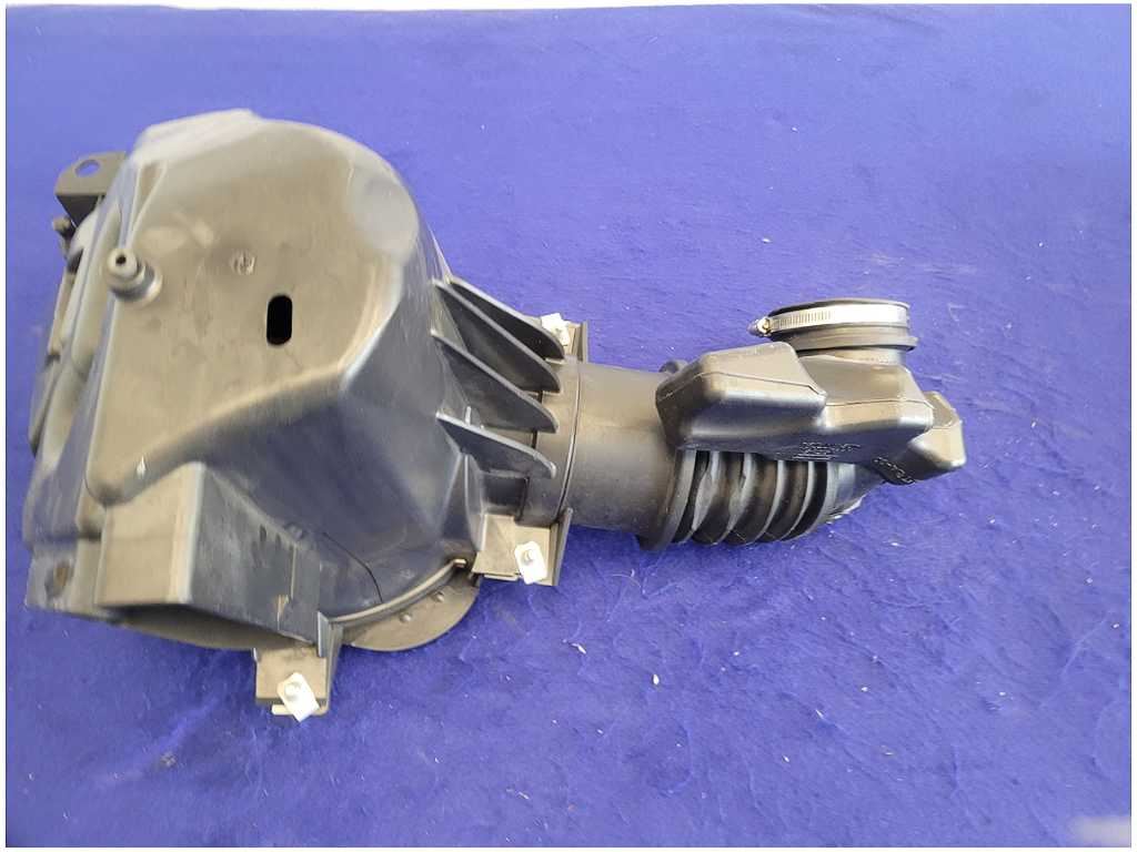 45204556