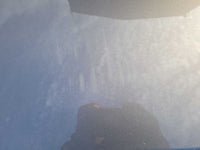 43877332