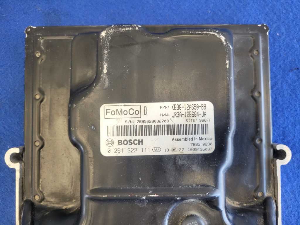 45205041