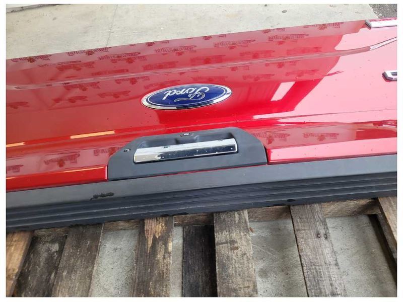 2015-2017 Ford F150 F-150 Truck Rear Tailgate Camera No Step Paint RR 2615 - The Parts Farm