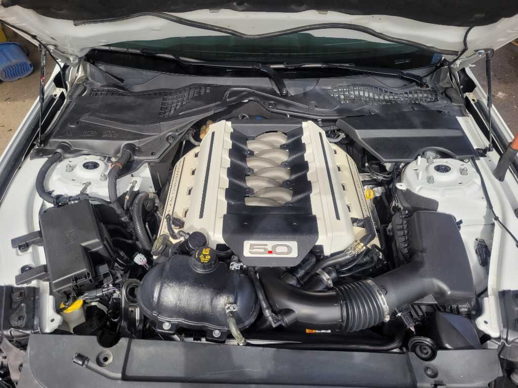 47662928