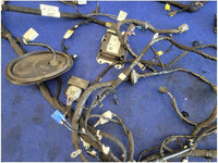 47816575