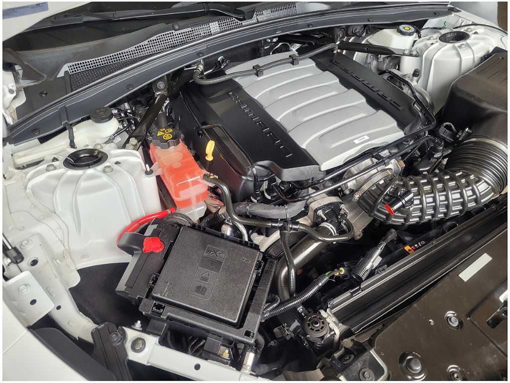 47559205