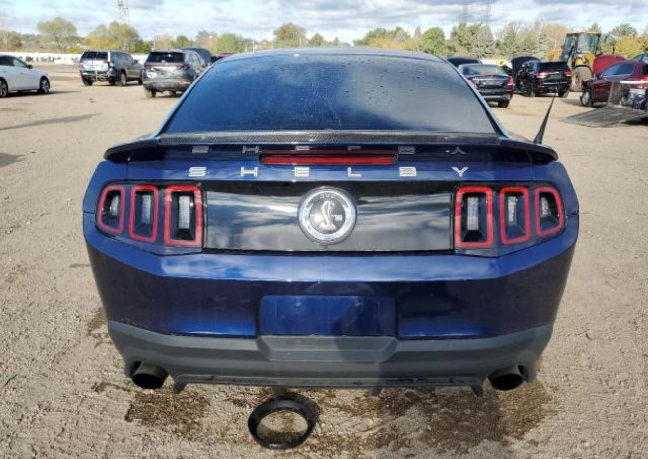 2012 Ford Mustang Shelby GT500 Coupe Door Panels & Sill Plates Chicago