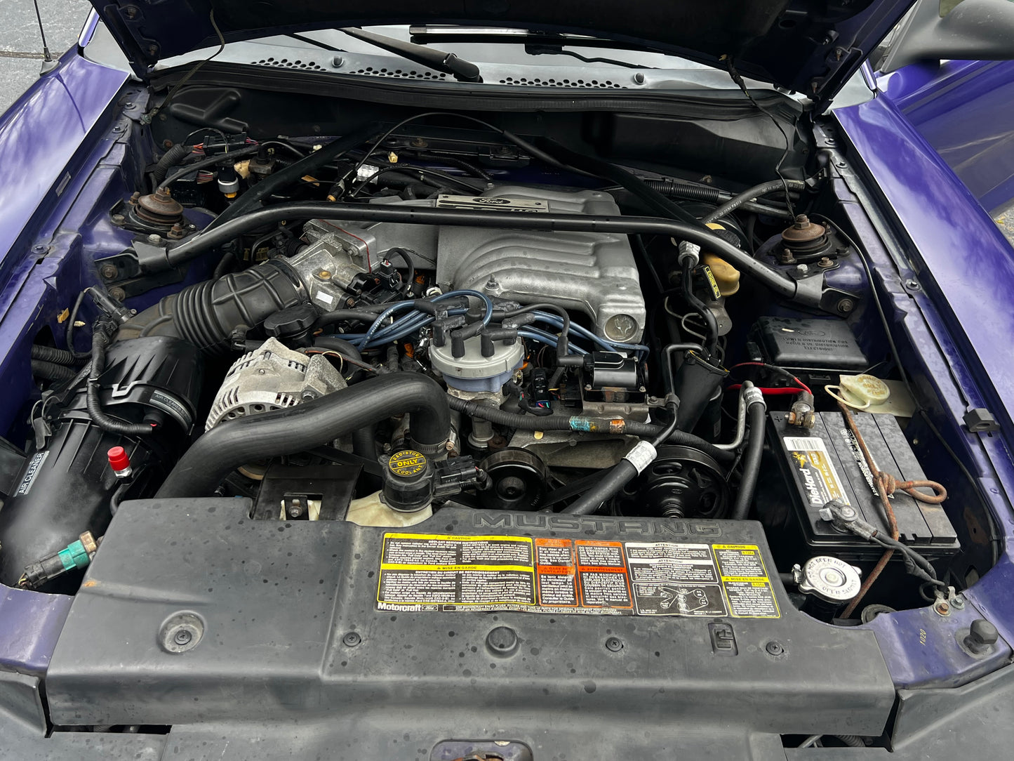 Stock 2703. 1995 Ford Mustang GT Coupe 5.0L V8 302 T5 Manny Tranny - The Parts Farm