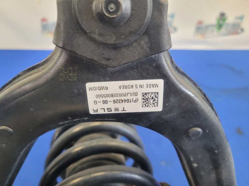 2017-2021 Tesla Model 3 Long Range Dual Motor Passenger Front Strut Spring 2139 - The Parts Farm