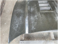 45067423