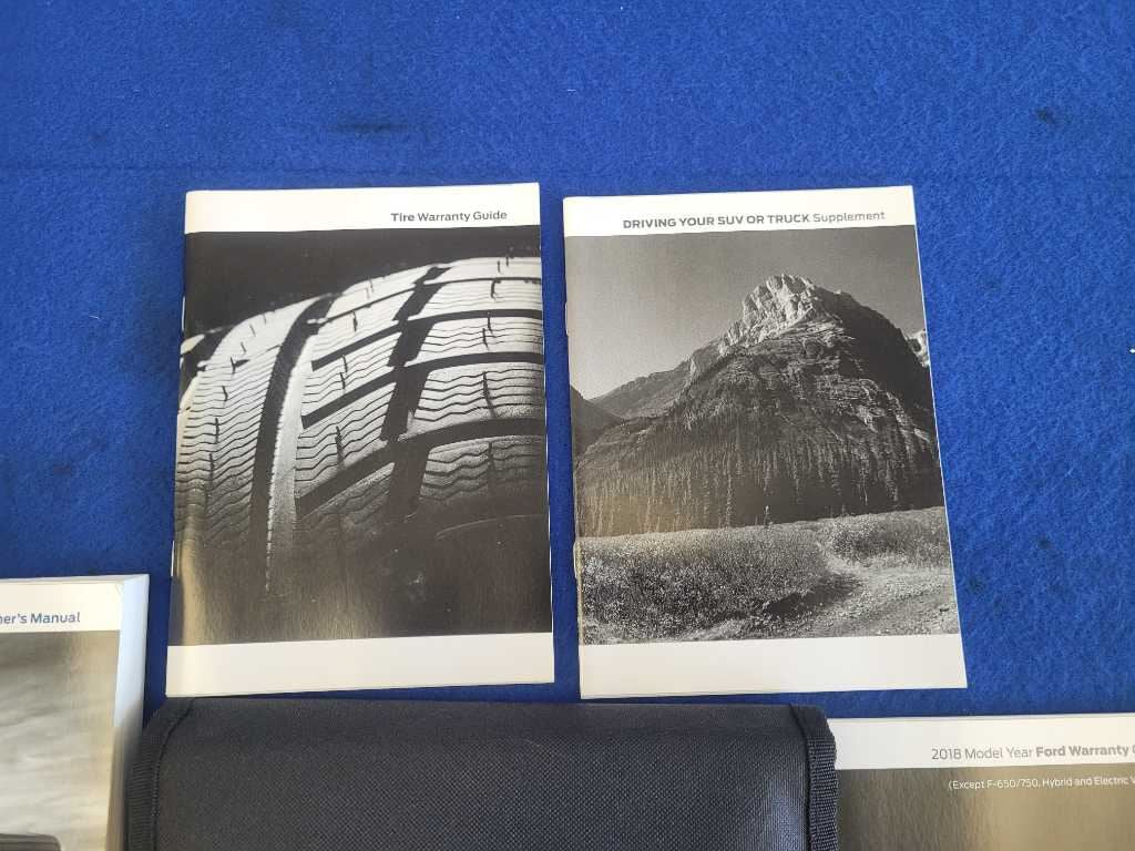 43874219