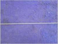 44872026