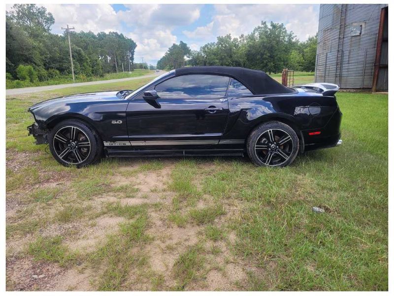 2013-2014 Ford Mustang GT Passenger Front Door Convertible Shell Paint UA 2613 - The Parts Farm