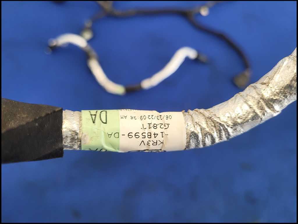 44053894