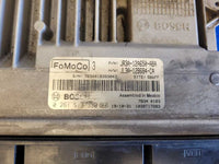 45205075