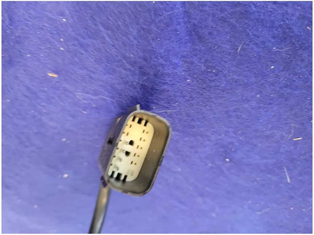 45300404