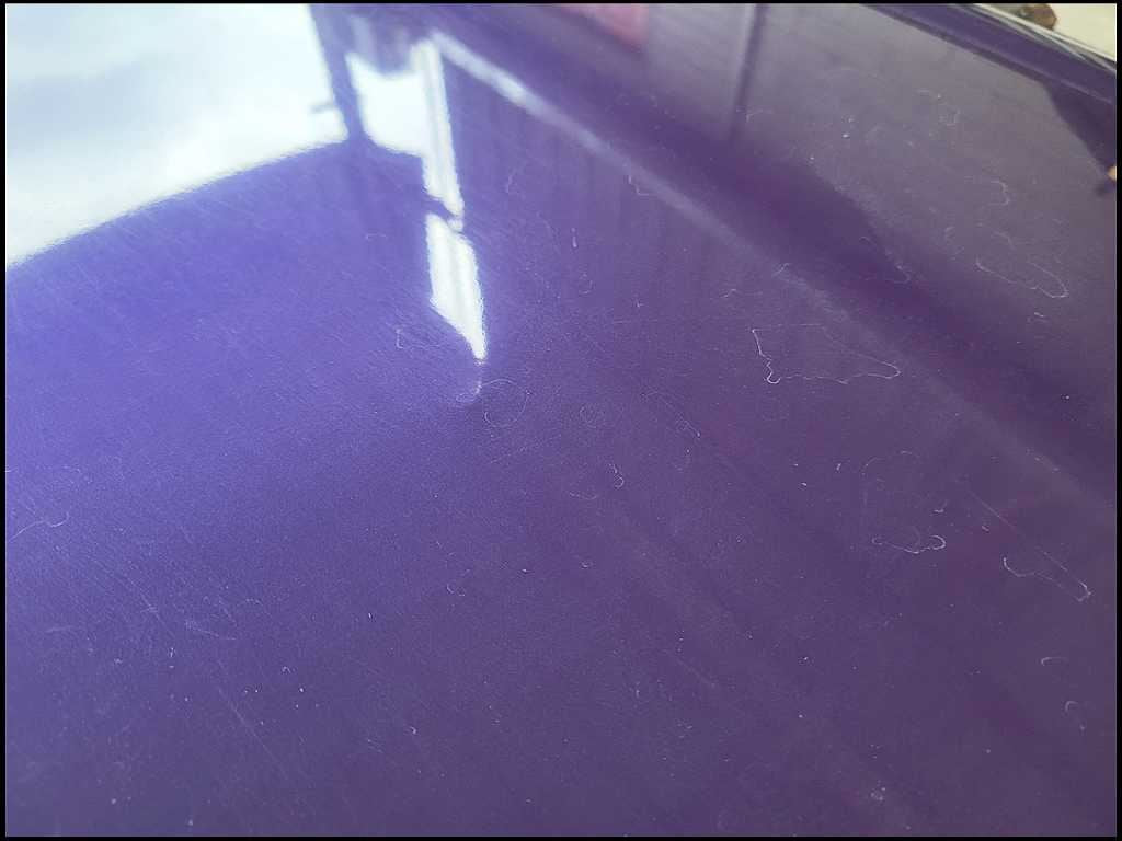 44204934