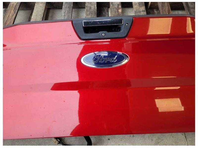 2015-2017 Ford F150 F-150 Truck Rear Tailgate Camera No Step Paint RR 2615 - The Parts Farm