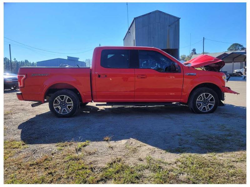 2015-2017 Ford F150 Pickup Truck Rear Back Shock Suspension 2481 - The Parts Farm
