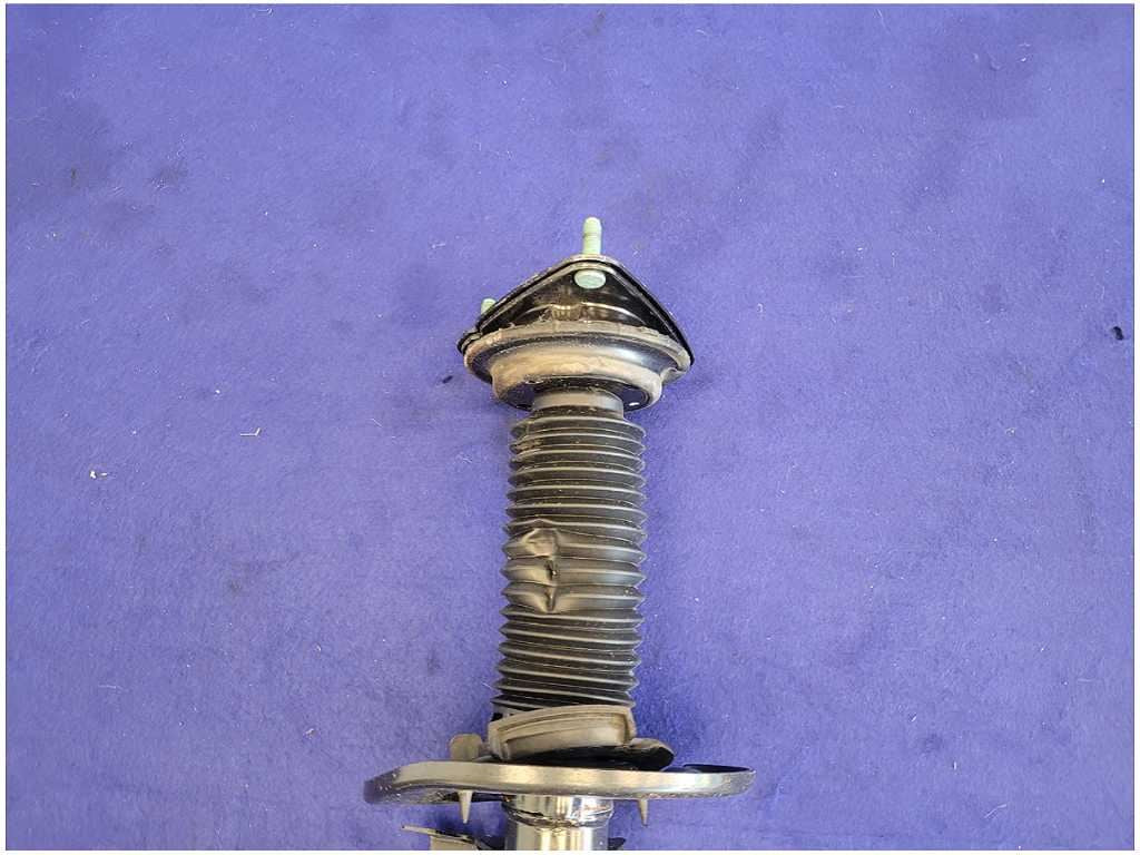 45300407