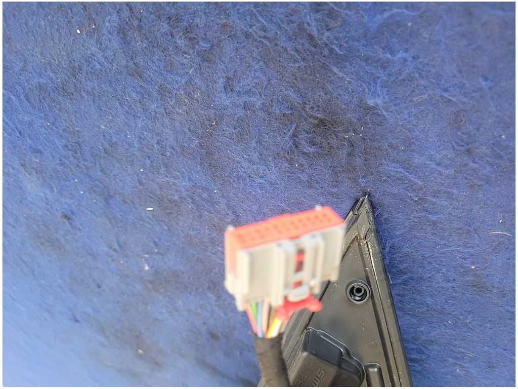 47779981