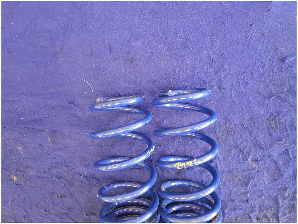 45066041