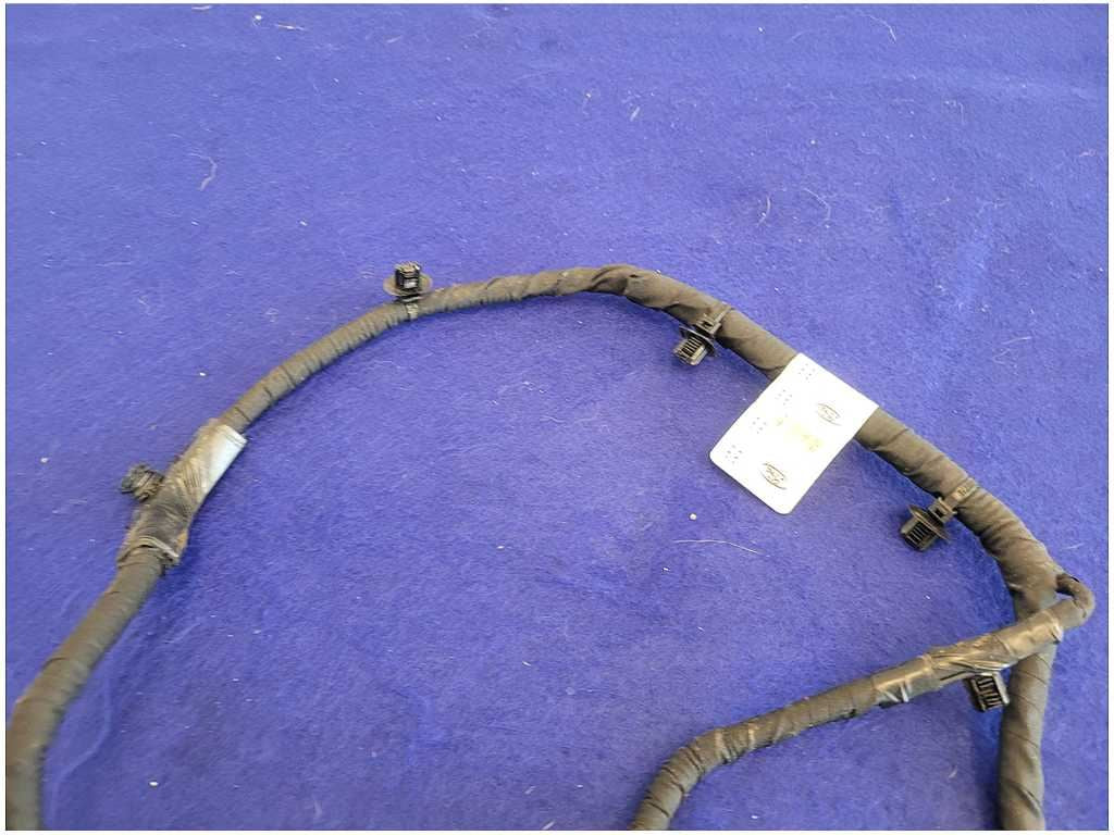 45300386