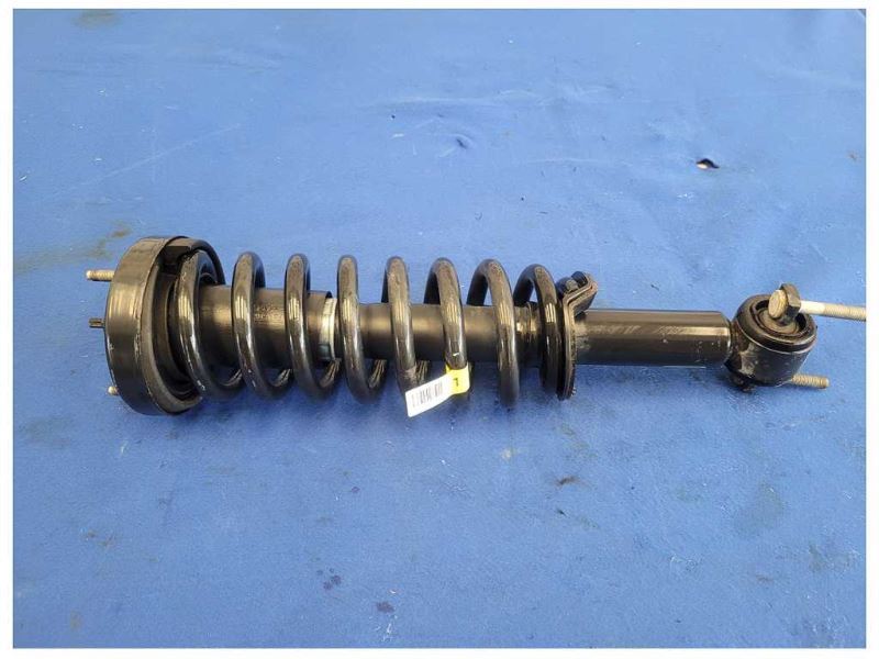 2015-2017 Ford F150 F-150 Pickup Truck Front Suspension Strut Spring 2615 - The Parts Farm