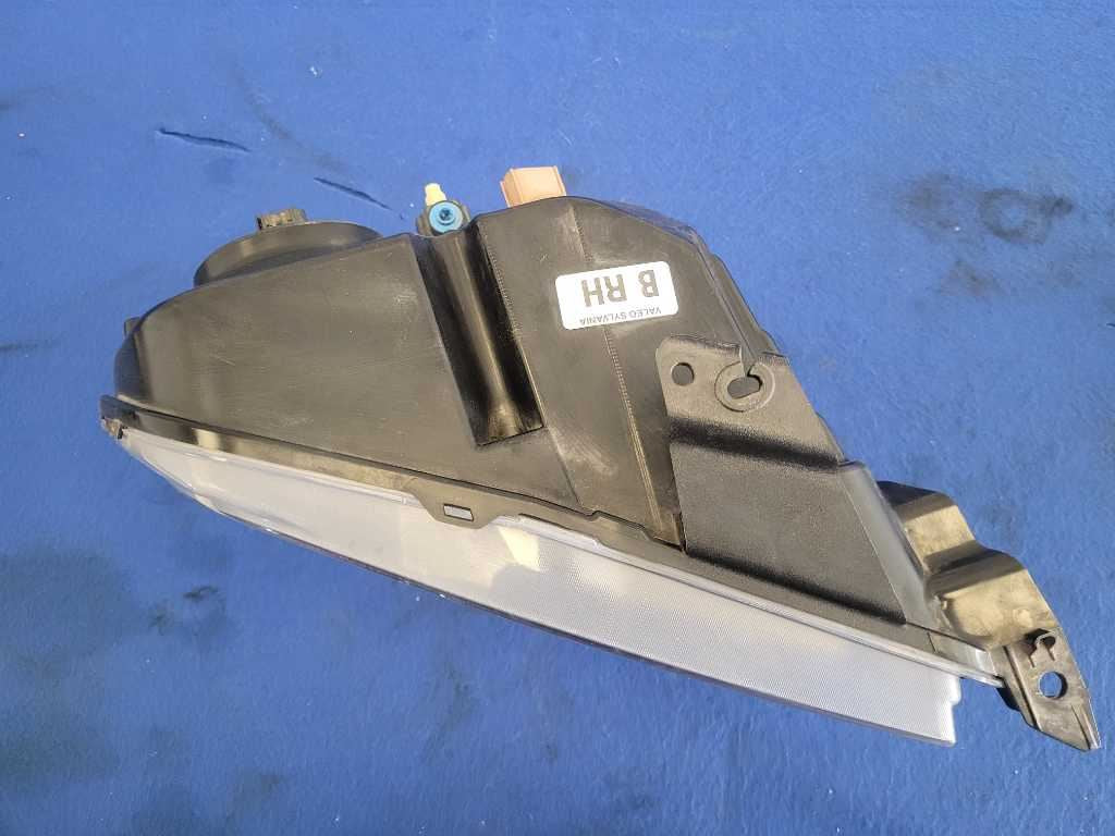 44006619