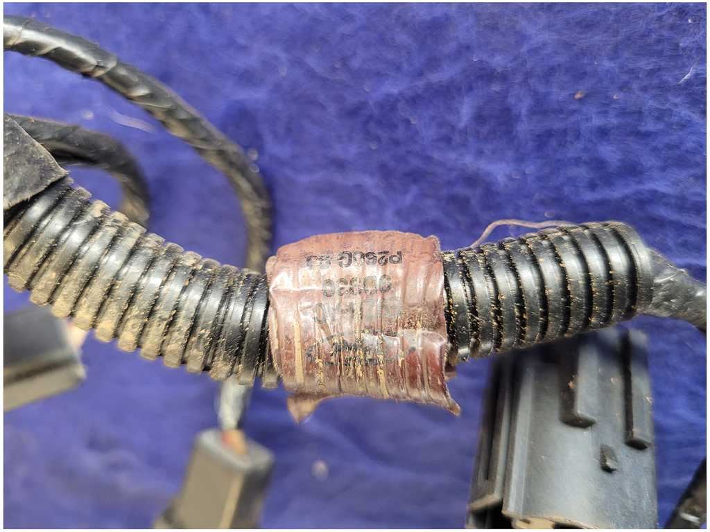 45008628