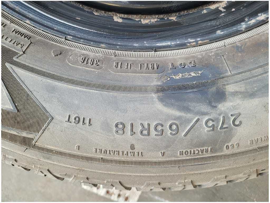 45301989