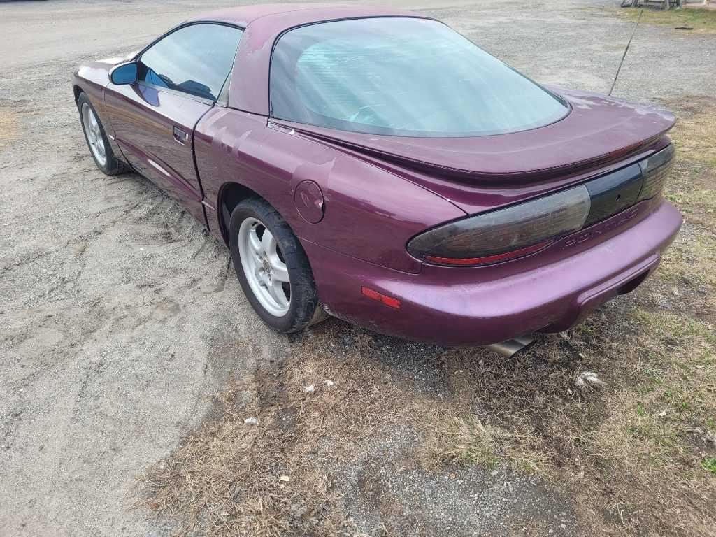 44497438
