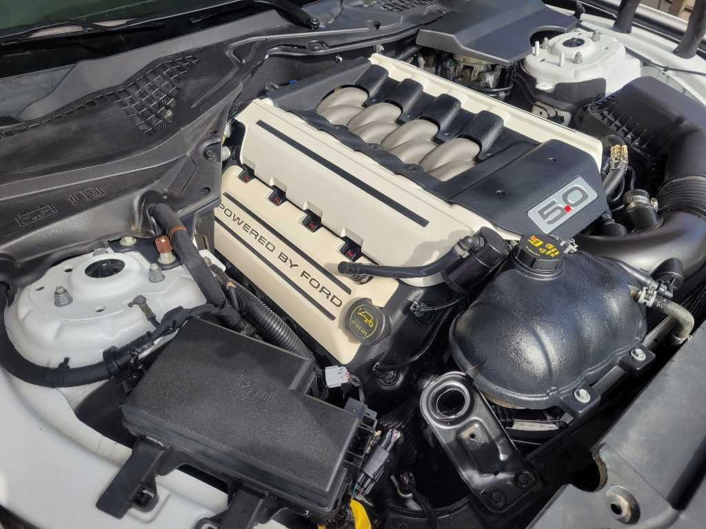 47662928