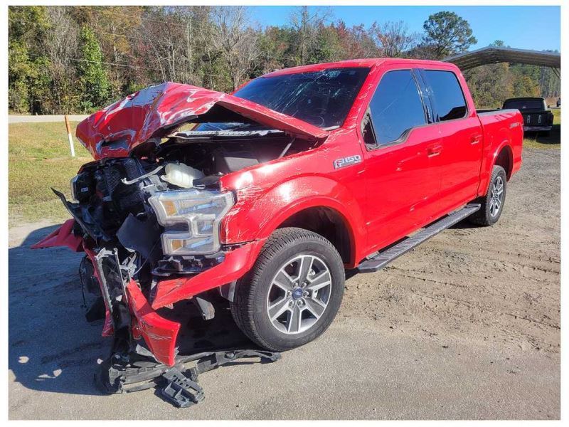 2015-2017 Ford F150 Pickup Truck Rear Back Shock Suspension 2481 - The Parts Farm