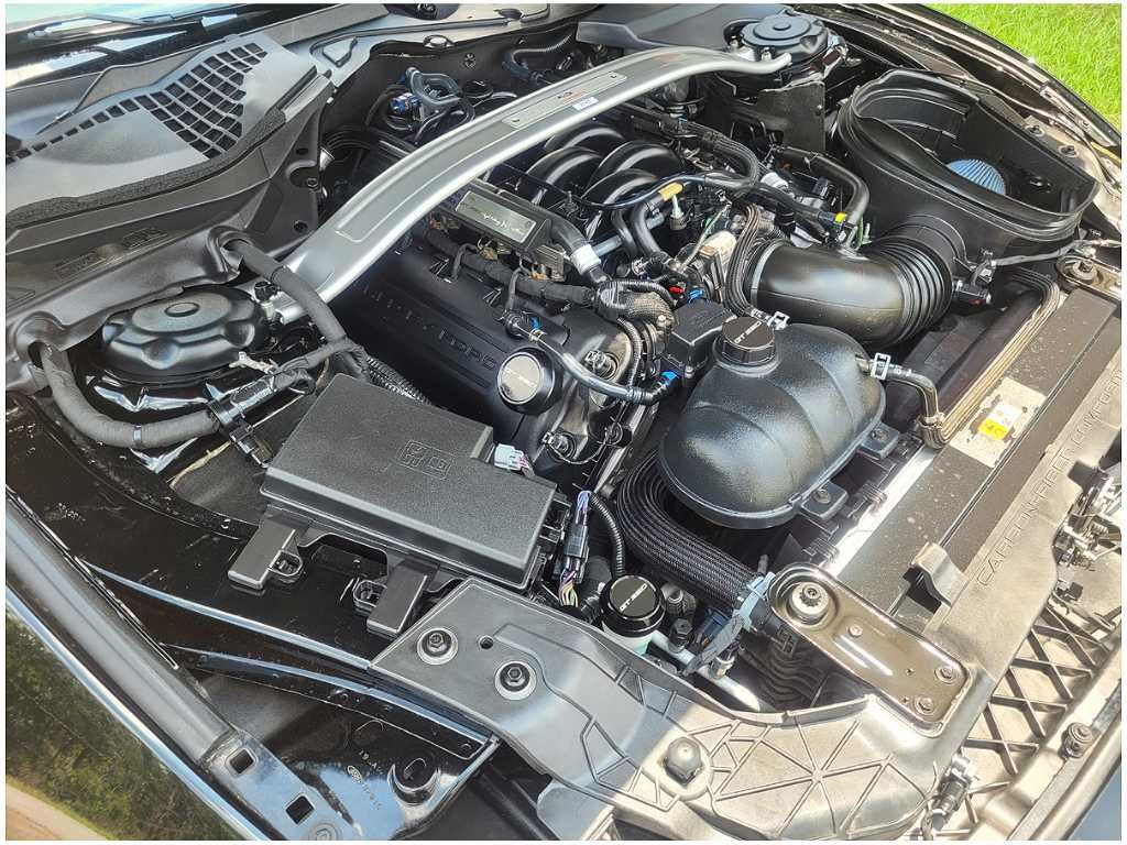 45829003