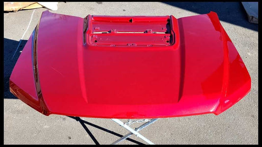 New Take Off 2017 - 2020 Ford Raptor F150 Pickup Truck Painted Hood Assembly OEM - The Parts Farm